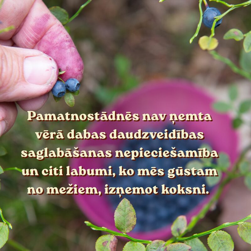 Pamatnostādnēs nav ņemta vērā dabas daudzveidības saglabāšanas nepieciešamība un citi labumi, ko mēs gūstam no mežiem, izņemot koksni.