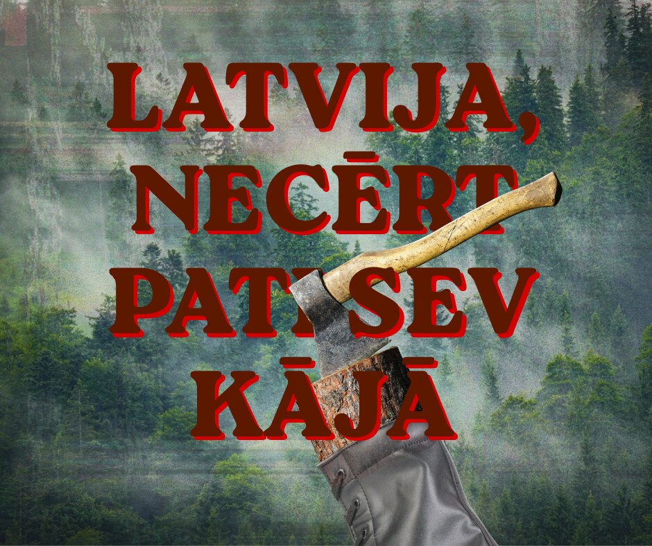 Latvija, necērt pati sev kājā – cirvis iecirsts zābakā